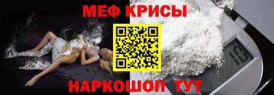 ешки Кингисепп