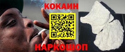 ешки Кингисепп