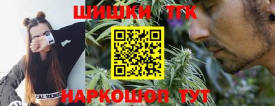 ешки Кингисепп