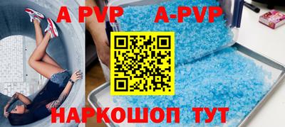 ешки Кингисепп
