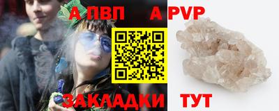 ешки Кингисепп