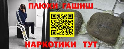 ешки Кингисепп