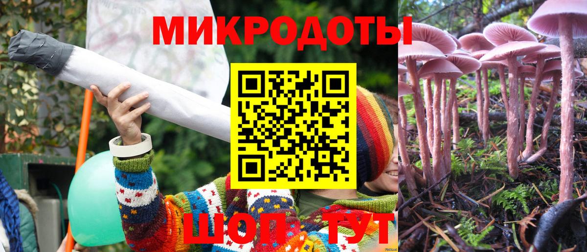 Псилоцибиновые грибы GOLDEN TEACHER Лыткарино