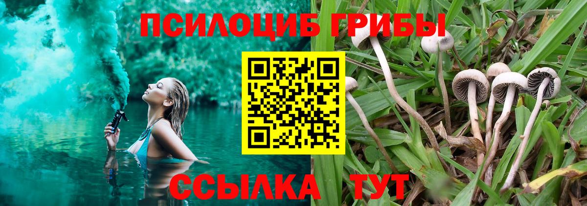 Лыткарино  Галлюциногенные грибы GOLDEN TEACHER  Вход с VPN 